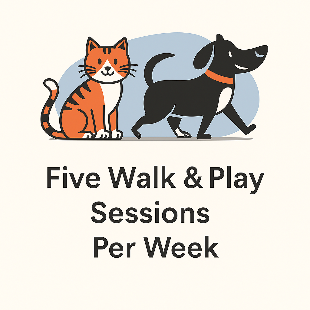 Five Walk & Play Sessions Per Week