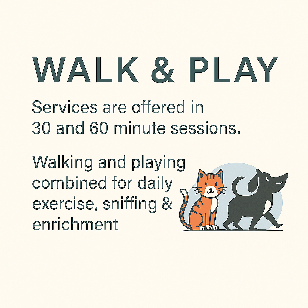 Walk & Play — 30 & 60 Minute Sessions